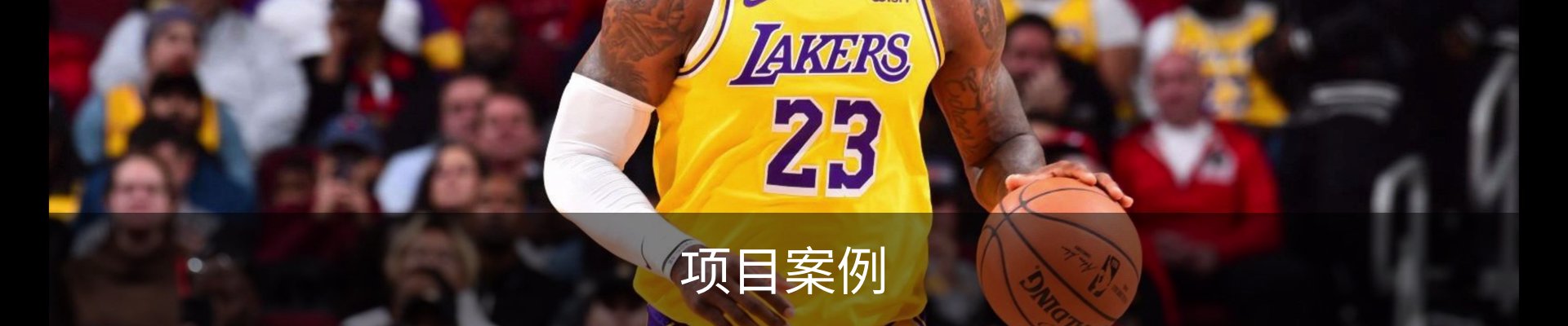 项目案例